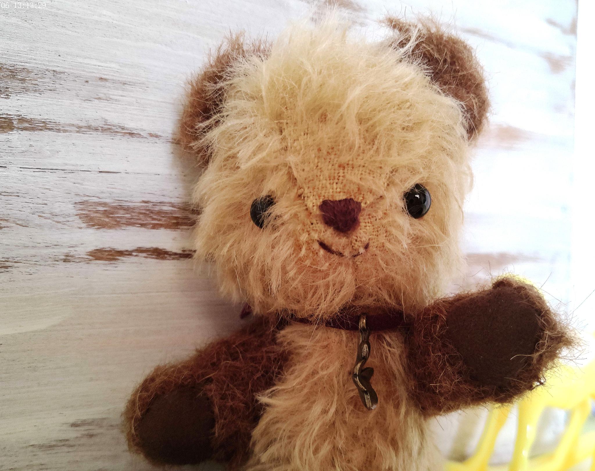 ꕤ୭　久しぶりの　チビくまちゃん　ꕤ୭＊ | 3枚目