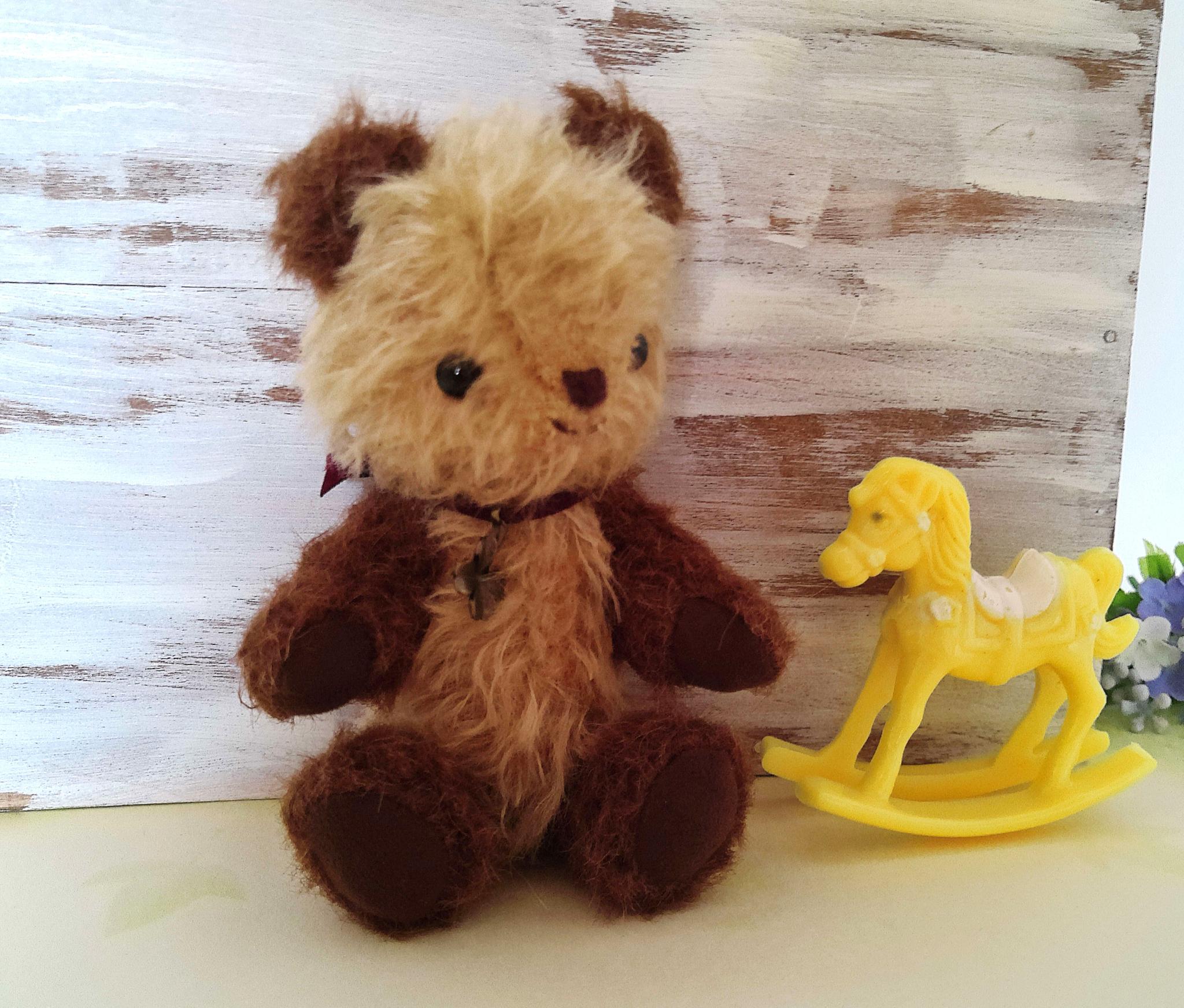 ꕤ୭　久しぶりの　チビくまちゃん　ꕤ୭＊ | 4枚目